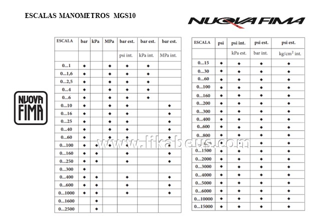 Manómetros de tubo Bourdon MGS10 DN100 NUOVA FIMA - Imagen 2