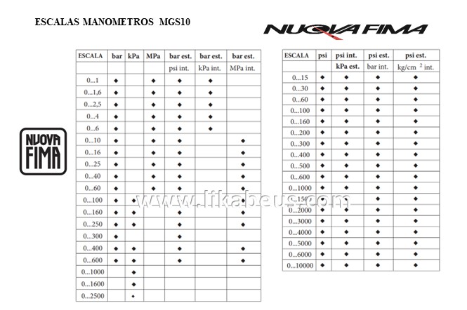 Manómetros de tubo Bourdon MGS10 DN63 NUOVA FIMA - Imagen 2