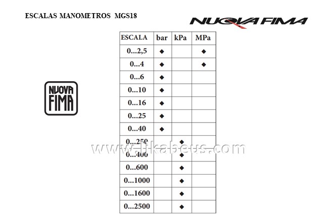 Manómetros de tubo Bourdon MGS18 DN40 NUOVA FIMA - Imagen 2